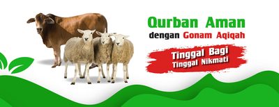 Jual Kambing Qurban Di Cibinong