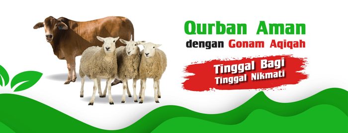 Jual Kambing Qurban Di Cibinong