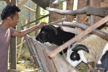 Jasa Layanan Paket Aqiqah Gunung Putri Kabupaten Bogor