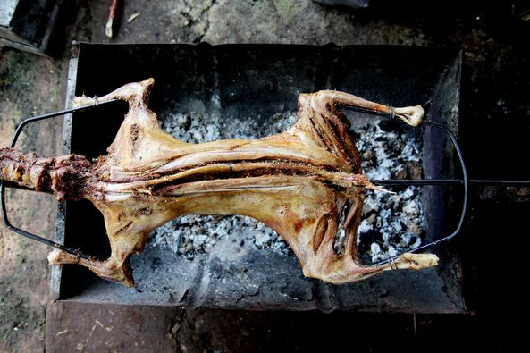 jual kambing guling di puncak bogor