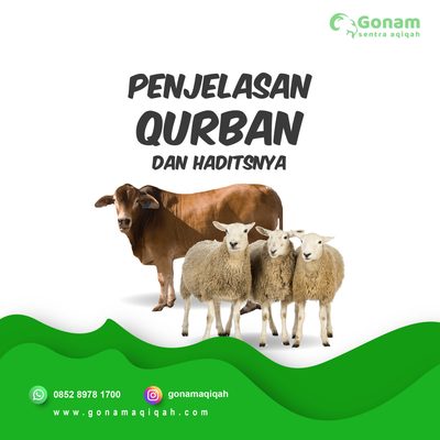 Penjelasan Hukum Qurban Dalil dan Waktu Pelaksanaan